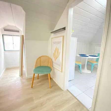 Vibrant Iii * 塞图巴尔