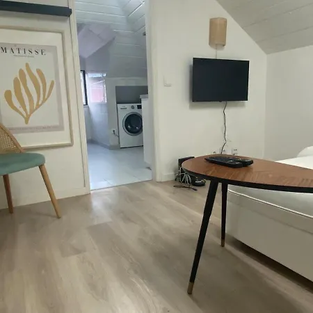Vibrant Iii Apartment *