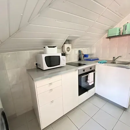 Vibrant Iii Apartment *