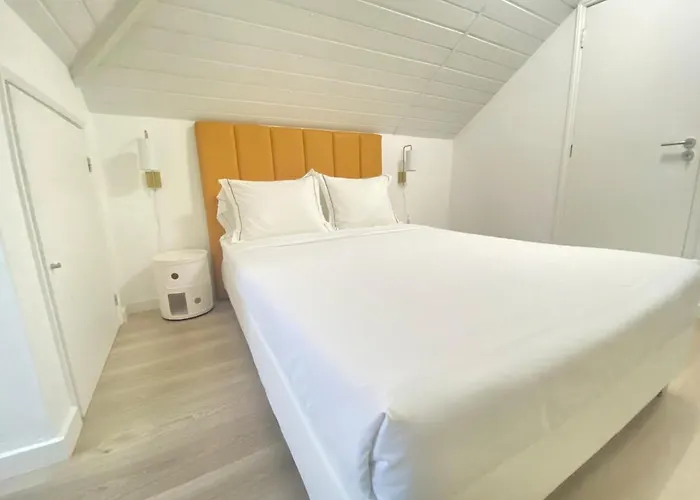 Vibrant Iii * Σετούμπαλ