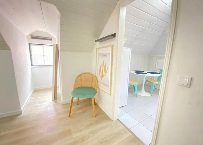 Vibrant Iii * Σετούμπαλ