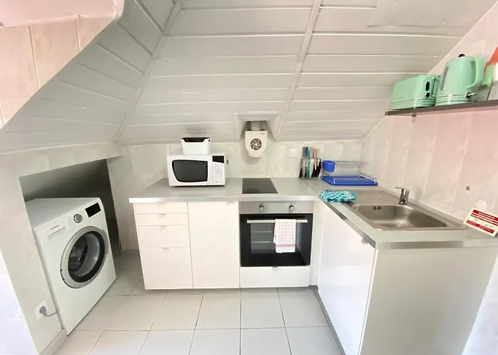 Vibrant Iii * Σετούμπαλ